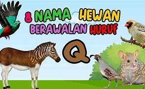 Tiga Nama Hewan Huruf E